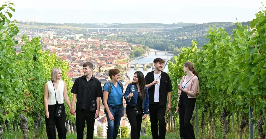 Würzburg: Vineyard Tour including Wine Cellar, 5 Wine Tastings and Pastries