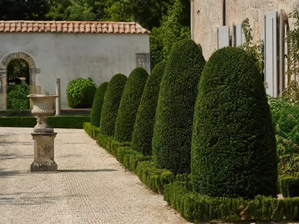 Clipped cones and raked gravel in a baroque garden
